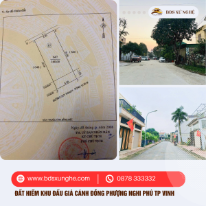 Đất hiếm đấu giá tại Cánh đồng Phượng - Nghi Phú, TP. Vinh