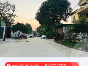 Đất vàng tại khu đấu giá Cánh đồng Phượng – Nghi Phú, TP Vinh: Vị trí đắc địa, giá trị tiềm năng