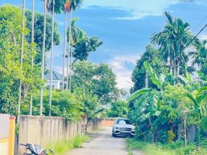 Bán đất thôn Mỹ Triều, xã Tân Lâm Hương, Thạch Hà, Hà Tĩnh – Diện tích 108.1m², Giá 800 triệu