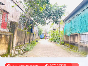 Bán đất ở thôn Tân Tiến, Tân Lâm Hương, Thạch Hà, Hà Tĩnh | Diện tích 259m², hướng Đông Nam, giá cực tốt