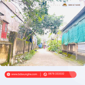 Bán đất ở thôn Tân Tiến, Tân Lâm Hương, Thạch Hà, Hà Tĩnh | Diện tích 259m², hướng Đông Nam, giá cực tốt
