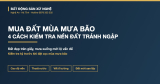 Mua đất mùa mưa bão: 4 cách kiểm tra nền đất tránh ngập ở Nghệ An, Hà Tĩnh